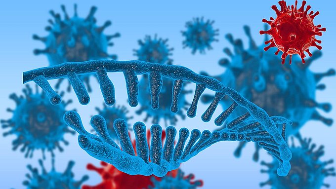 Physik Instrumente Electron Microscopy